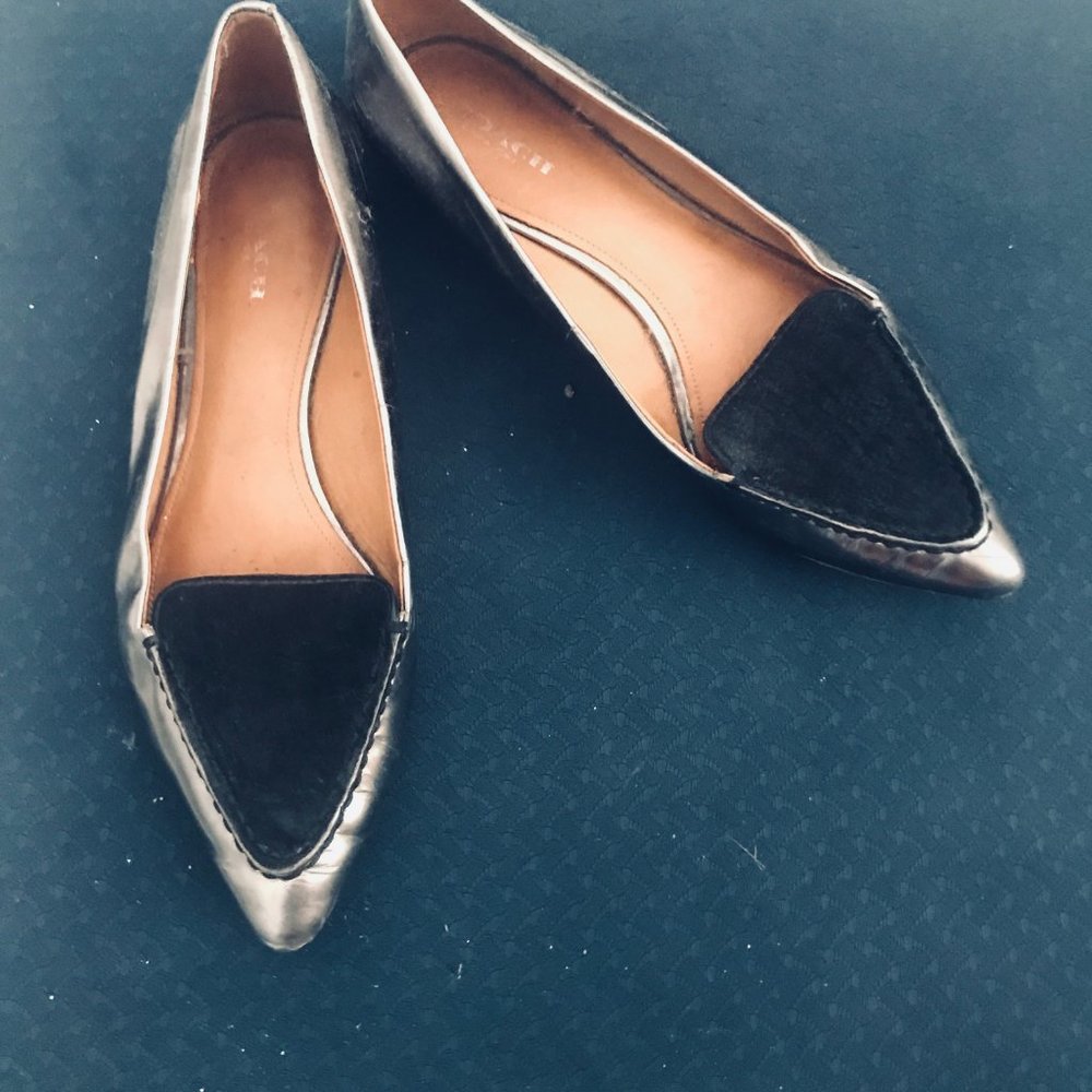 Silver Flats - Picture 2 of 4